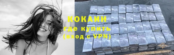 сатива Володарск