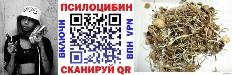 Псилоцибиновые грибы Psilocybe  Купить  Анжеро-Судженск 